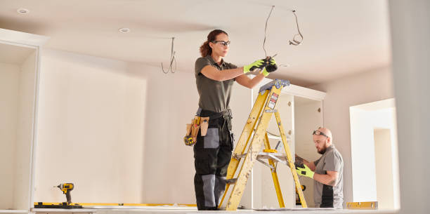 Best Electric Panel Repair  in Montrose, VA